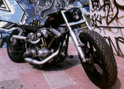 ....featured in Hog Magazine